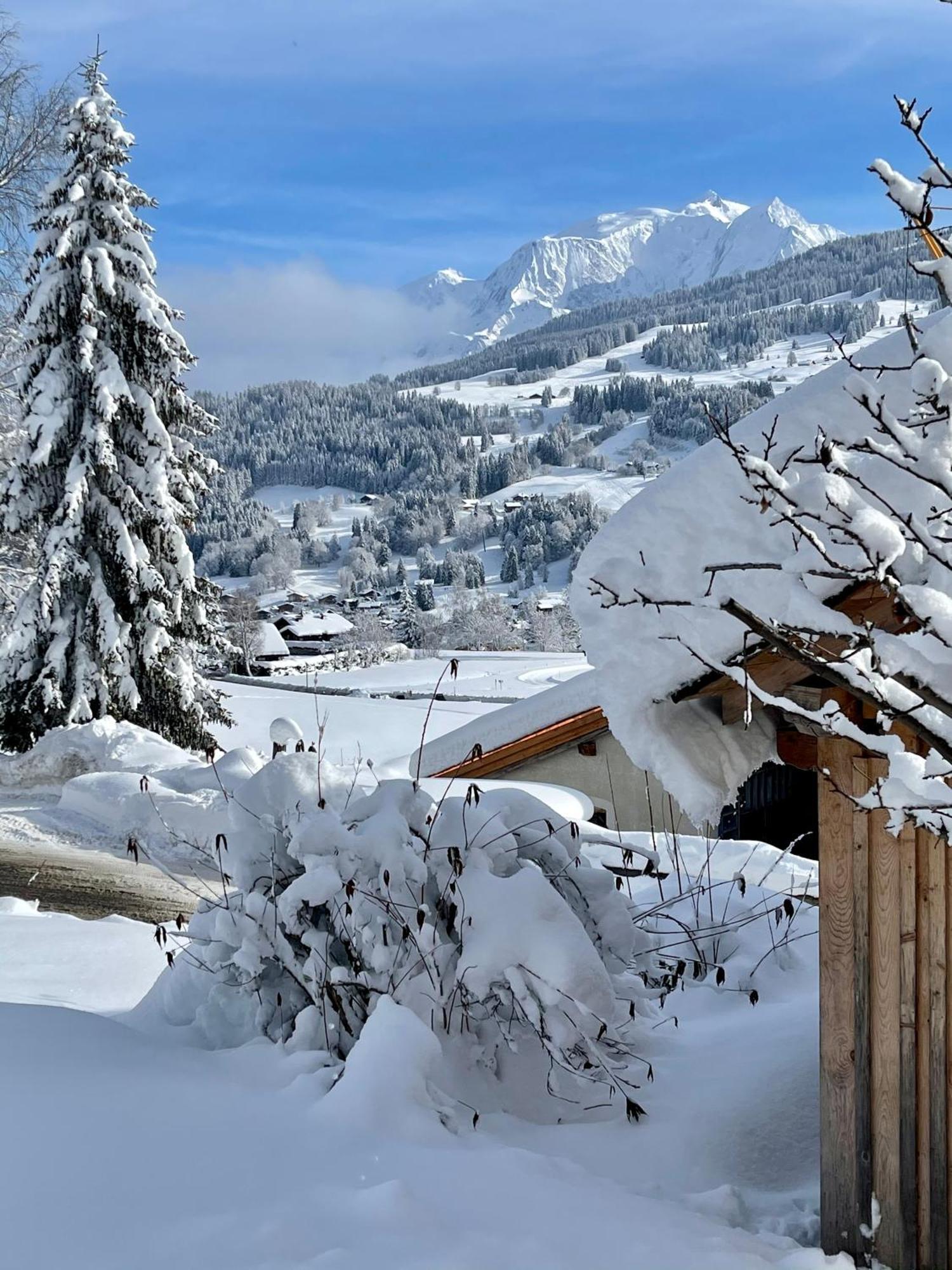 Chalet A Megeve-Vauvray - Grands Appartements , Vue Mont Blanc Demi-Quartier Екстериор снимка