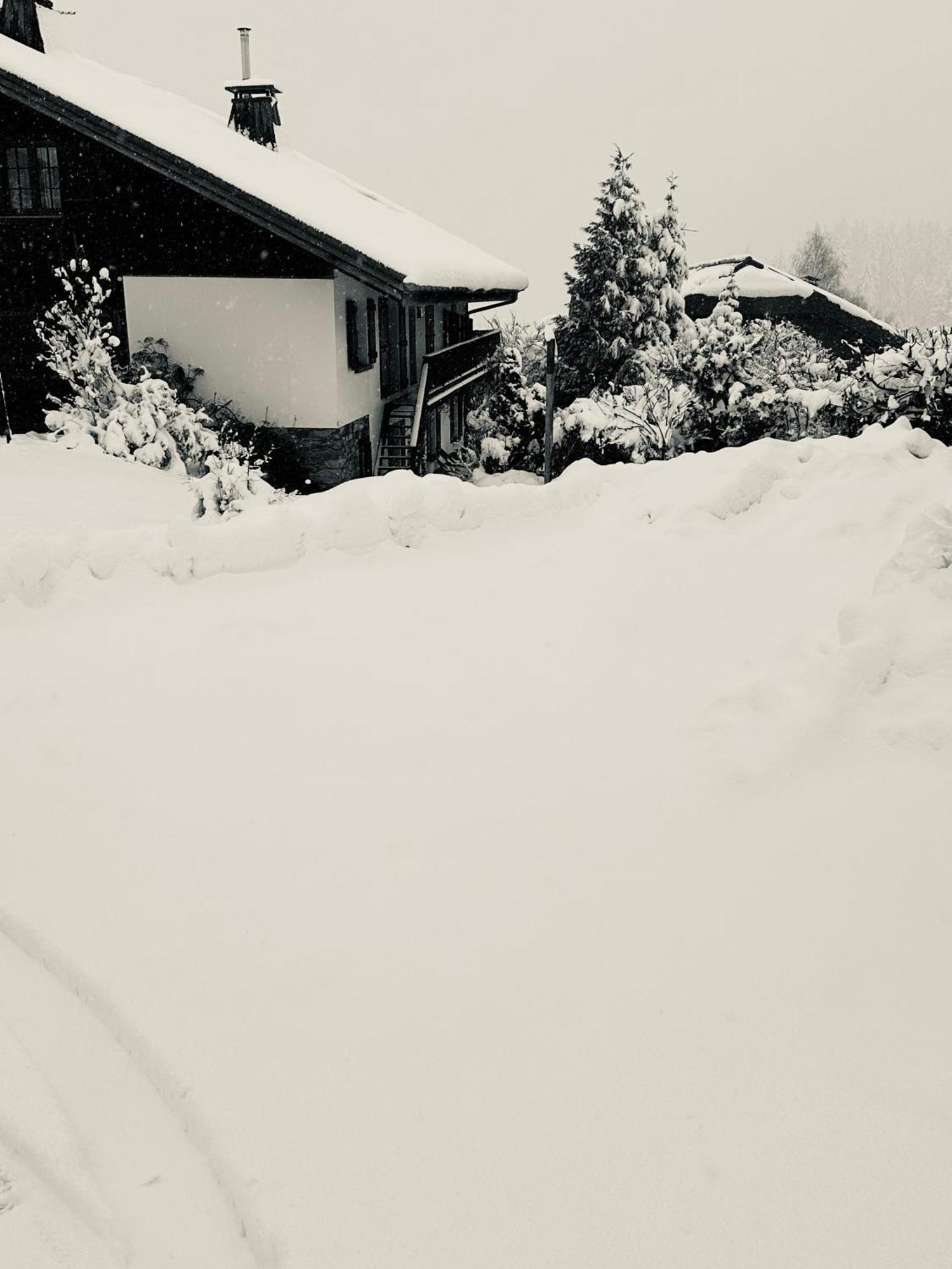 Chalet A Megeve-Vauvray - Grands Appartements , Vue Mont Blanc Demi-Quartier Екстериор снимка